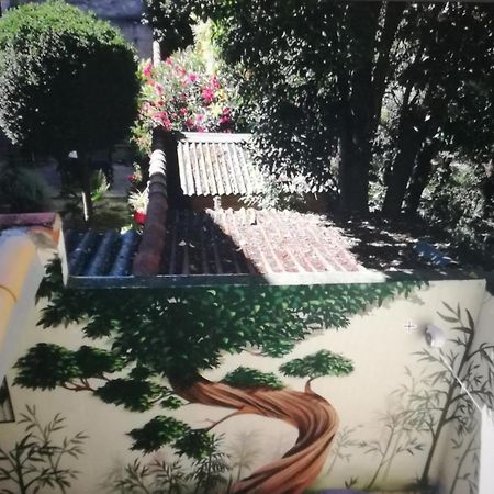 Suite Volupte Classee 3 Etoiles Avec Vue Sur Jardin, Climatisation Montpellier Exterior foto